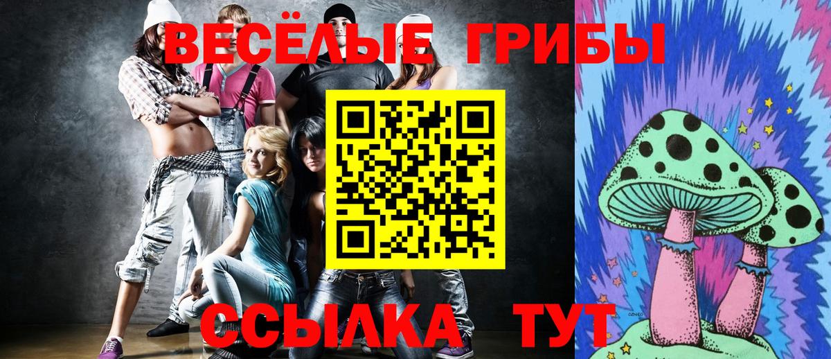 Псилоцибиновые грибы ЛСД Городец