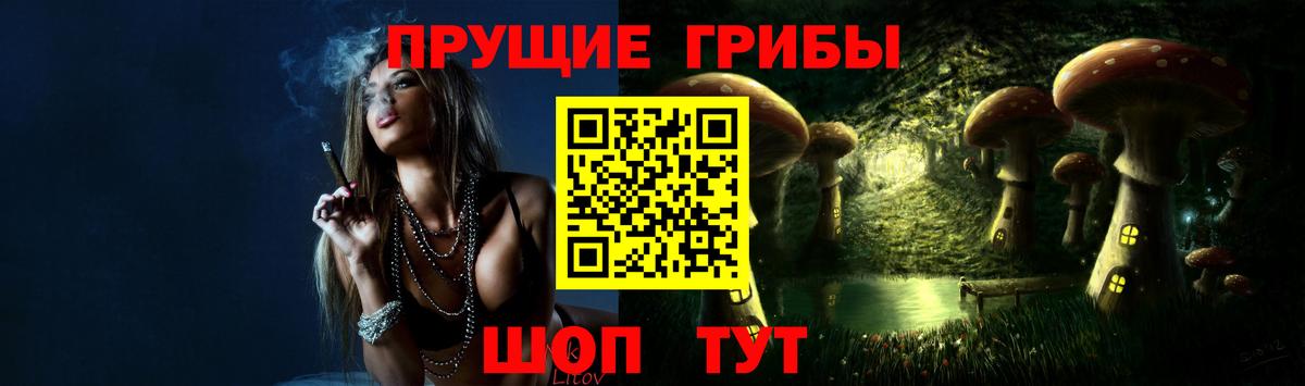 Псилоцибиновые грибы Psilocybine cubensis  Галлюциногенные грибы Cubensis  Вход с VPN  Городец 